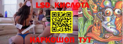 сатива Аргун