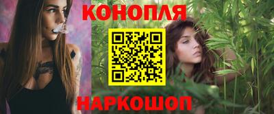 сатива Аргун