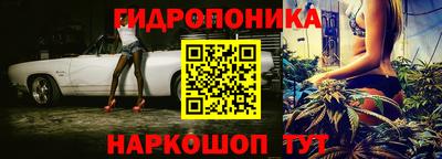 сатива Аргун