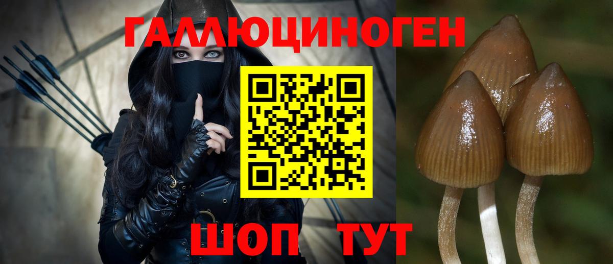 Галлюциногенные грибы Psilocybe  как найти   Менделеевск  Вход с VPN 