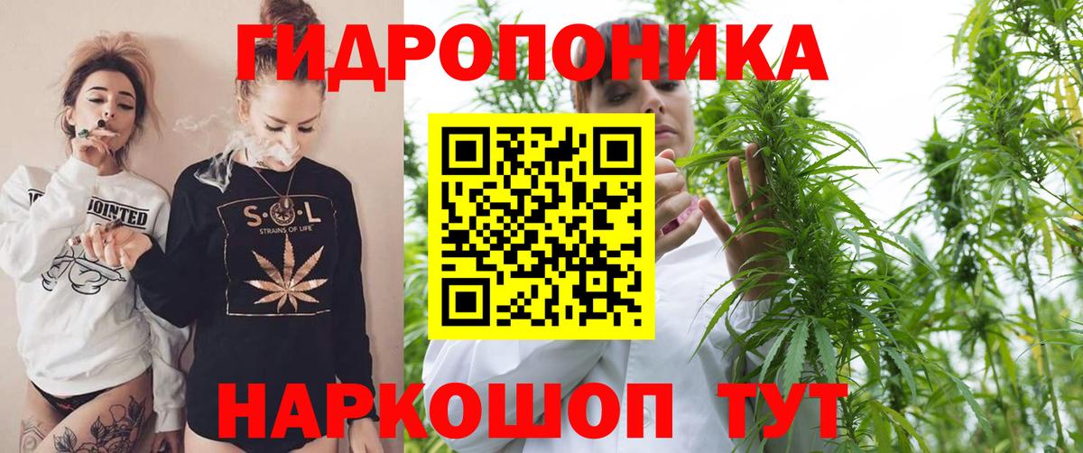 Шишки марихуана марихуана  Марихуана White Widow  Менделеевск  Вход с VPN 